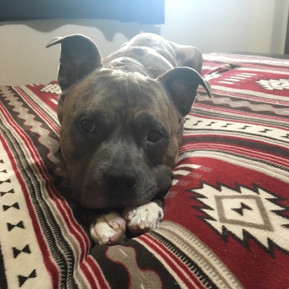 Meet your Posher, Trisha - Picture 1 of 1